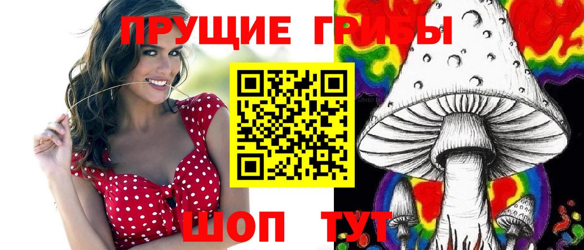 Галлюциногенные грибы Psilocybine cubensis Бахчисарай