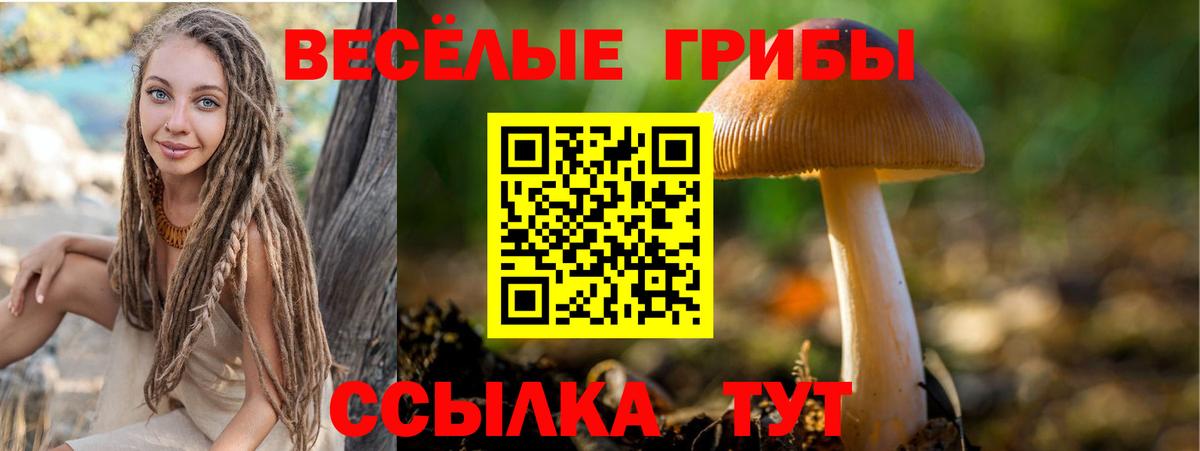 Псилоцибиновые грибы Magic Shrooms  Вход с VPN  Бахчисарай 